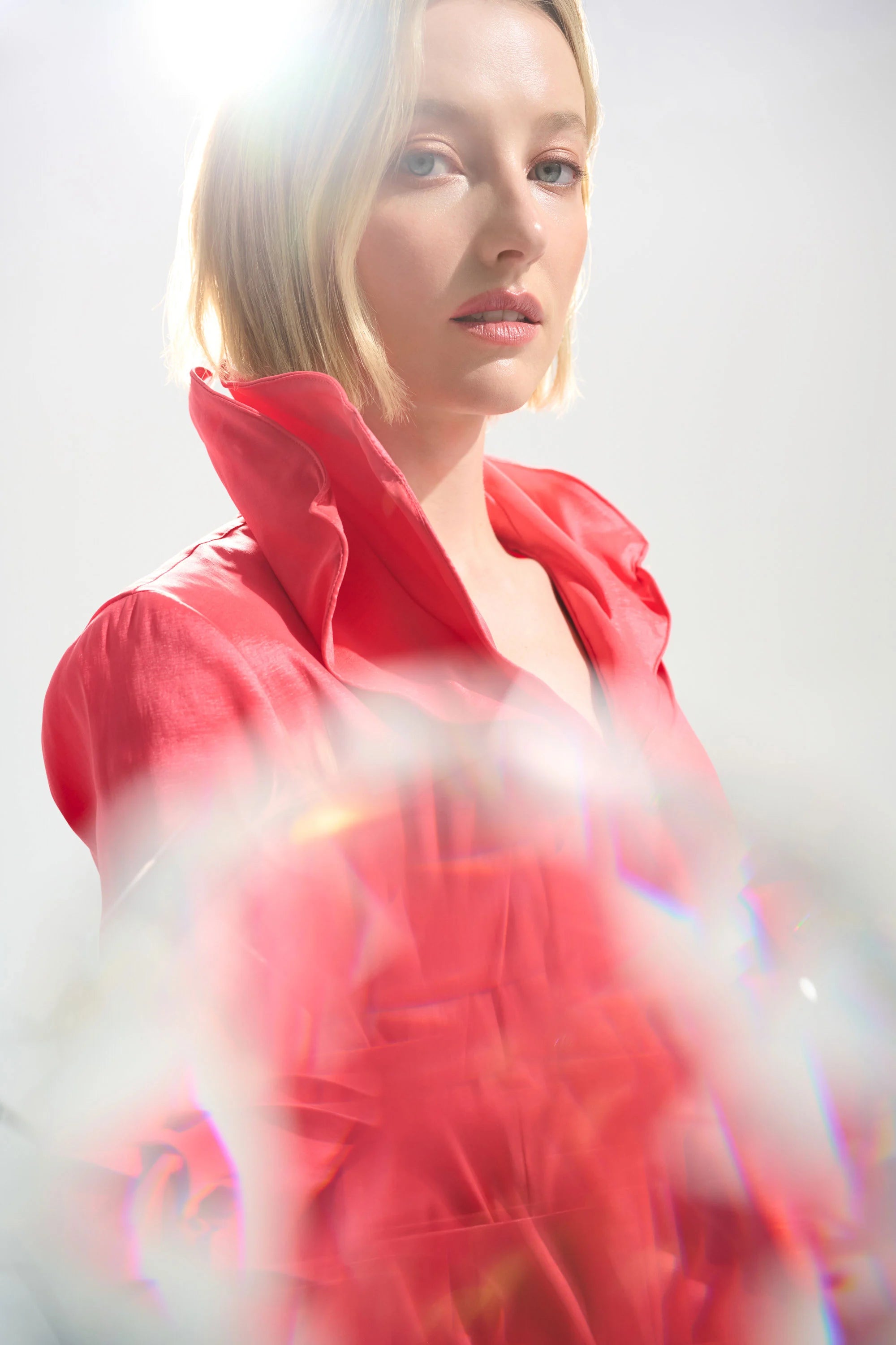 SIGNATURE | STRETCH TAFFETA FIT AND FLARE DRES WITH LAPEL COLLAR 261719